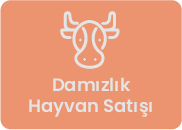 damizlik-hayvan-satisi