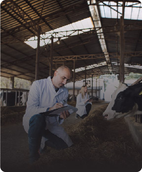 hayvan-hastaliklari hayvan-hastaliklari