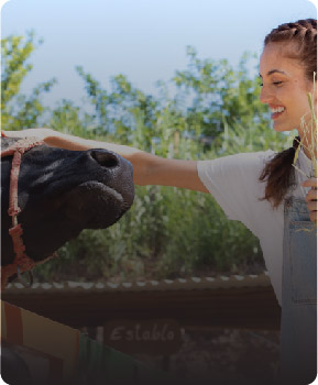 sigir-yetistiriciligi-ve-islahi sigir-yetistiriciligi-ve-islahi